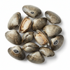 ARSENEAU BOTTLE CLAMS [172 g]