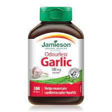 JAMIESN ODORLS GARLIC 500MG [300 ea]