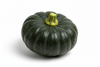 SQUASH BUTTERCUP
