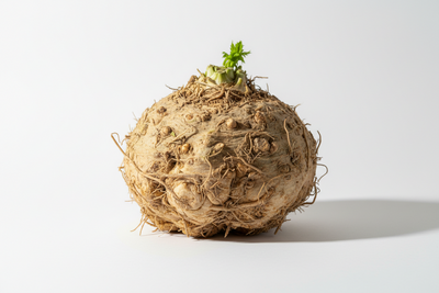 CELERY ROOT