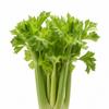 CELERY [1 ea]