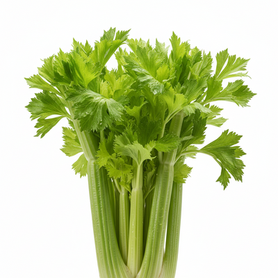 CELERY [1 ea]