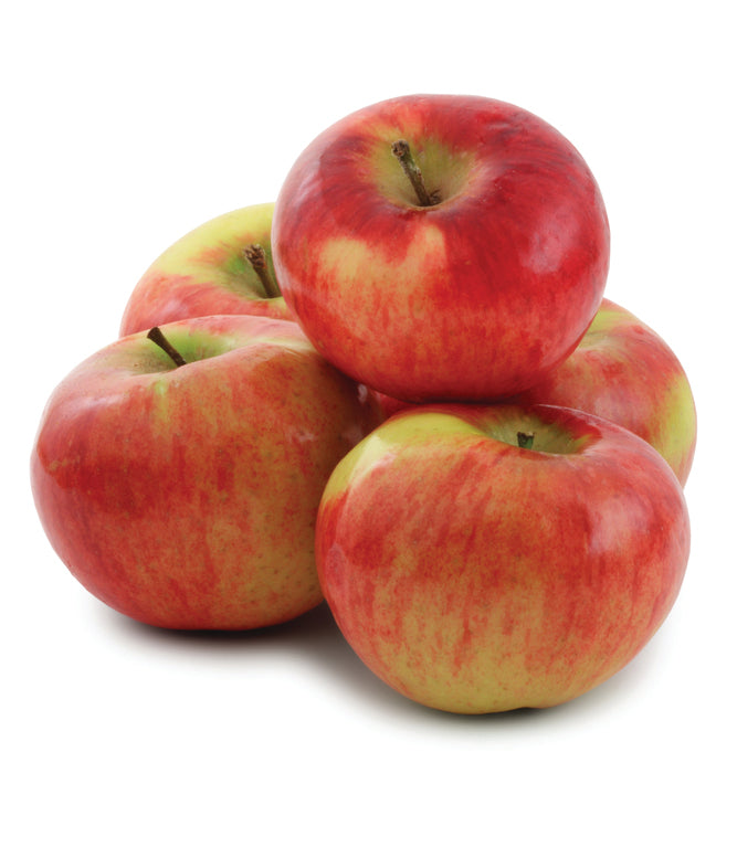 APPLE CORTLAND 3 LB