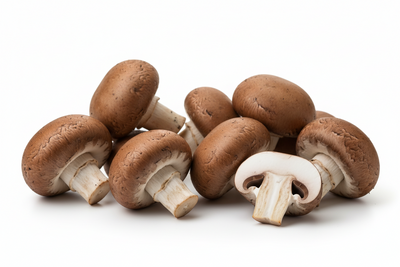 MUSHROOM CRIMINI