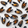 CULTIVATED MUSSELS