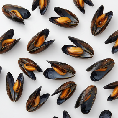 CULTIVATED MUSSELS