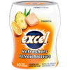 EXCEL REFRESH TROPCAL GUM 40pc [40 ea]