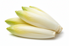 ENDIVE BELGIAN