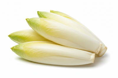 ENDIVE BELGIAN