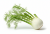 ANISE (FENNEL) LOCAL [1 ea]