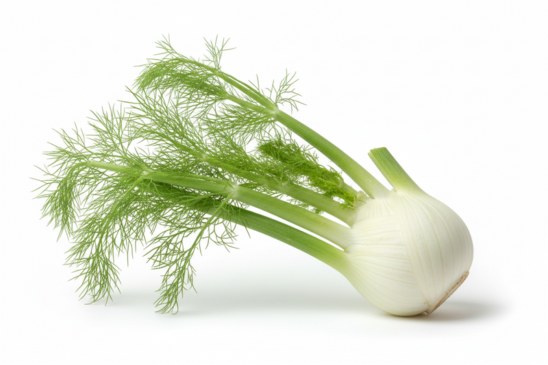 ANISE (FENNEL) LOCAL [1 ea]