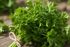 fresh parsley