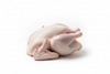 FRESH TURKEYS