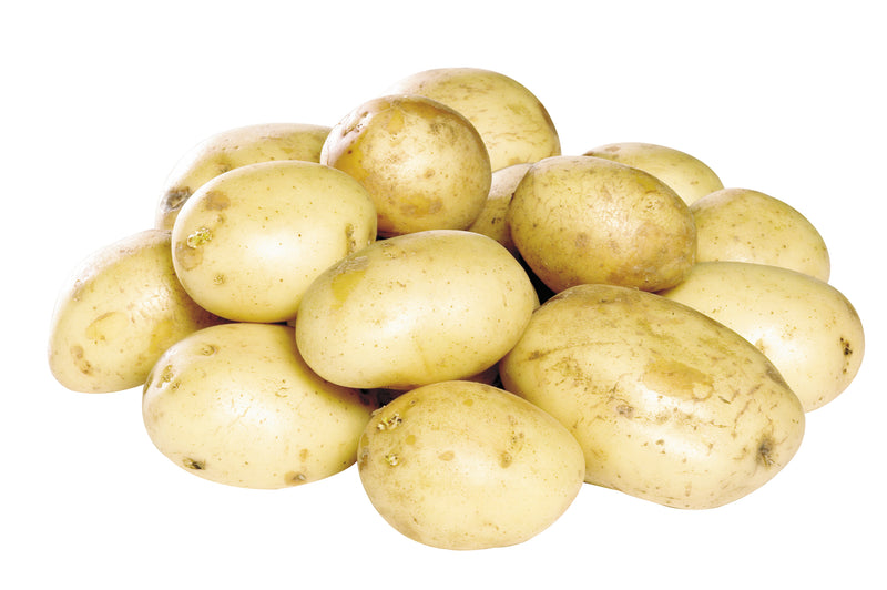 POTATO 5LB WHITE