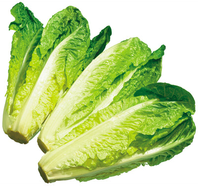 ROMAINE HEARTS [3 pkg]