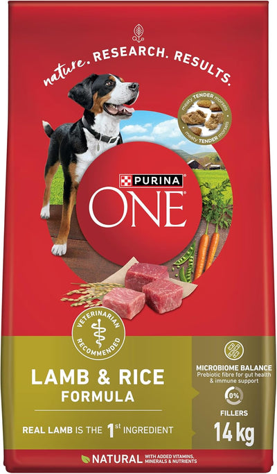 PURINA ONE SMRT BLND LAMB RICE