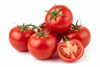 TOMATO HOTHOUSE