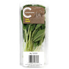 FRESH SAGE [1 ea]
