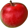APPLES OBERLY 3L