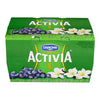 ACTIVIA BLUBRRY VAN 12x100g [12 ea]