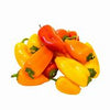 PEPPER MINI SWEET 454G [1 pkg]