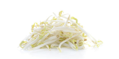 BEAN SPROUTS 12OZ [1 ea]