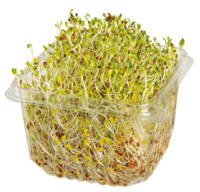 ALFALFA SPROUTS 75G [1 ea]