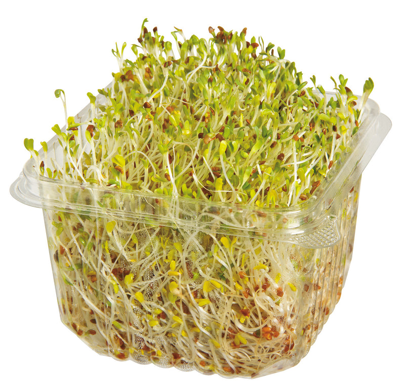 ALFALFA SPROUTS 75G [1 ea]