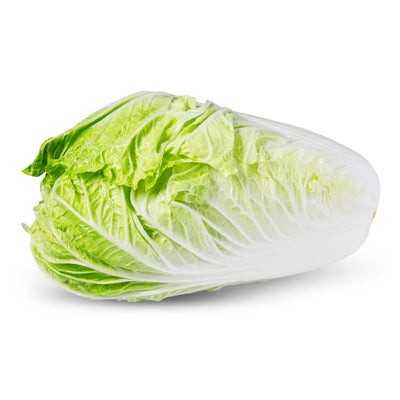 CABBAGE CHINESE