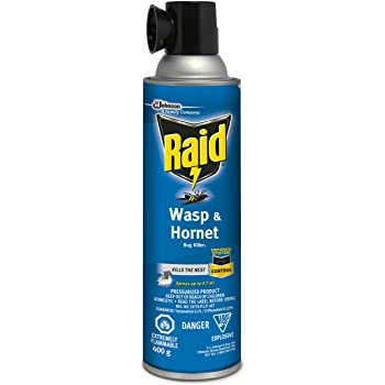 RAID WASP HORNET KILLER [400 g]