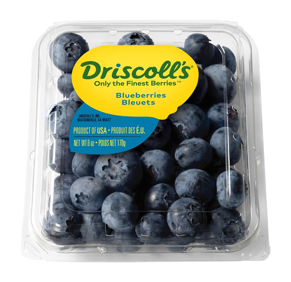 BLUEBERRIES [6 oz]