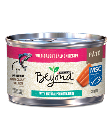 PURINA BEYOND PATE SALMON