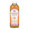 GTS KOMUCHA SYNGY HNY APPLE [480 ml]