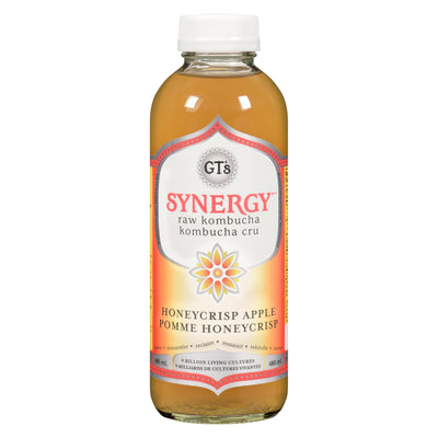 GTS KOMUCHA SYNGY HNY APPLE [480 ml]