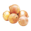 ONION 10 LB