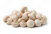 MUSHROOM BULK
