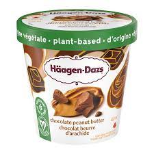 HGN-DAZ PLNT BASE CHOC PNT BTR [400 ml]