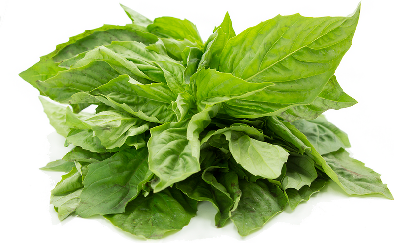FRESH BASIL [1 ea]