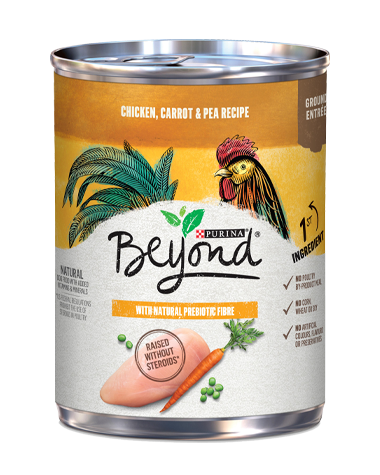 PURINA BEYOND GRN FREE CHICKN