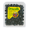 BLUEBERRIES [6 oz]