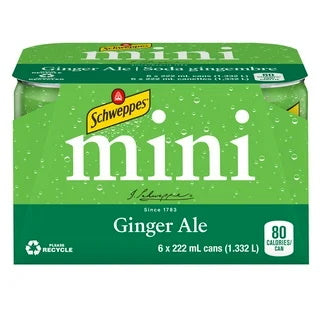 SCHWPS GNGR ALE MINI 6x222ml [6 ea]