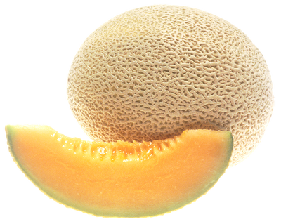CANTALOUPE [1 ea]