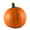 PUMPKIN LARGE [1 ea]