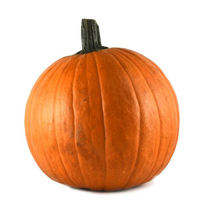 PUMPKIN LARGE [1 ea]
