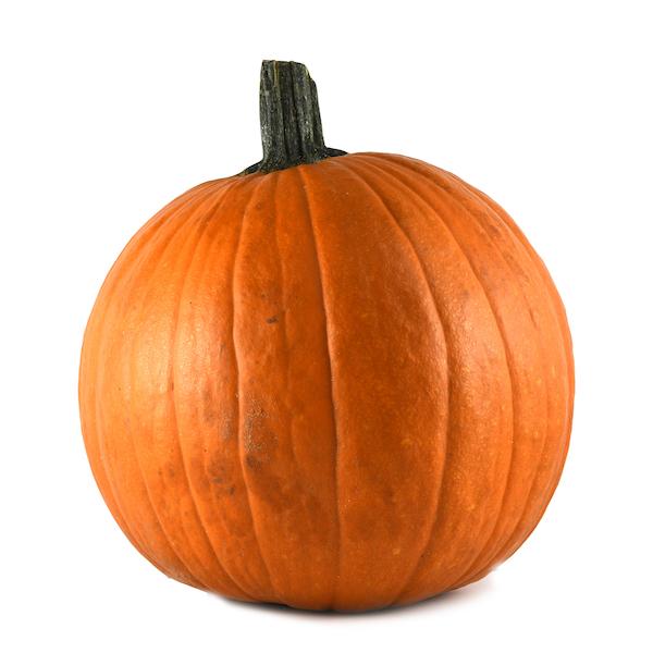 PUMPKIN LARGE [1 ea]
