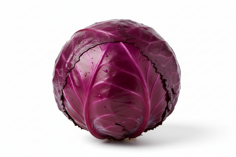CABBAGE RED