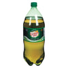 CAN DRY GINGER ALE 2LT +depost
