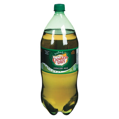 CAN DRY GINGER ALE 2LT +depost