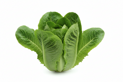 LETTUCE ROMAINE [1 EACH]
