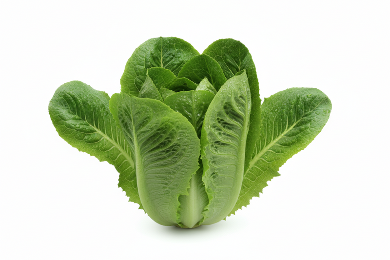 LETTUCE ROMAINE [1 EACH]